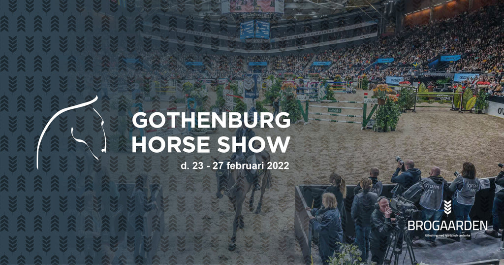 Göteborg Horseshow