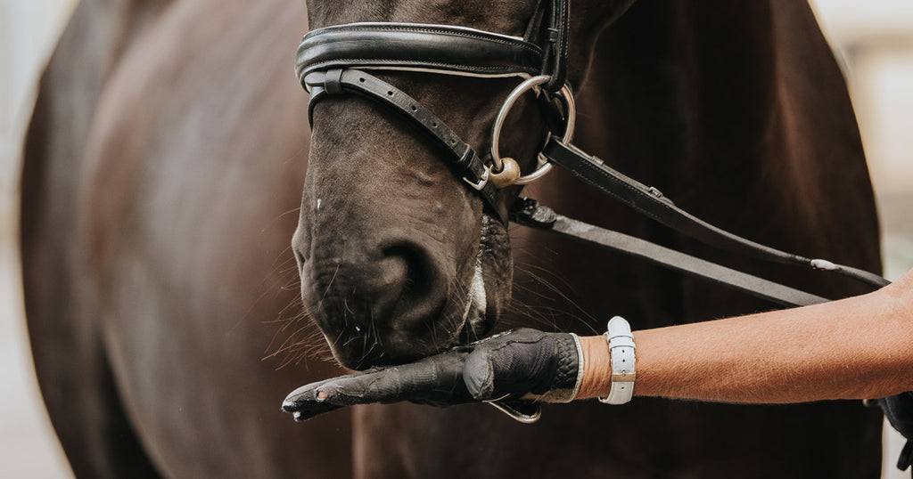 Selen – en livsnödvändig mineral