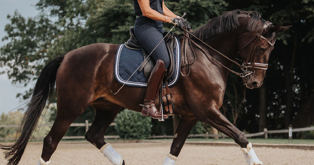 Svett, vätskebalans och elektrolyter