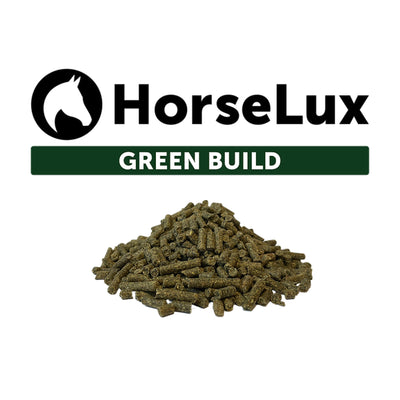 horselux-green-build.jpg