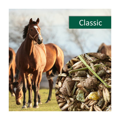 horsepro-classic.jpg