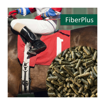 horsepro-fiber-plus.jpg