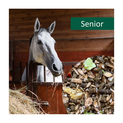 horsepro-senior.jpg
