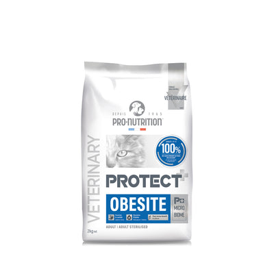 protect-cat-obesite-2.jpg