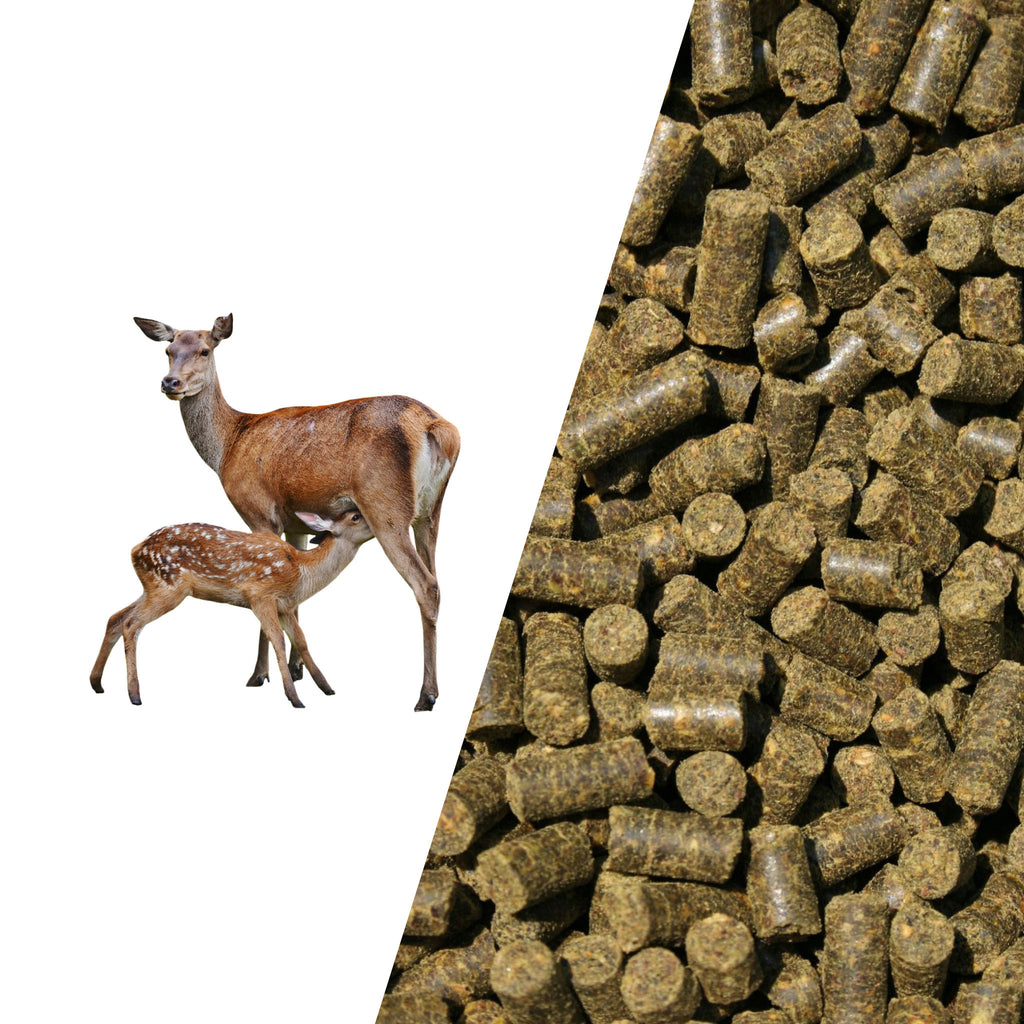 D&H Ruminant Browser Cubes - Hjortfoder - 20 kg | Köp på Brogaarden.se